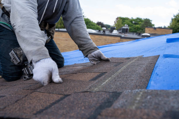 Best Gutter Installation and Roofing  in Belding, MI
