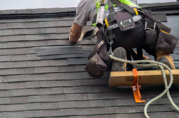 Best Roof Repair Specialists  in Belding, MI