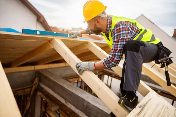 Best Roof Repair Services  in Belding, MI