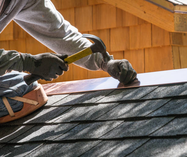 Best Roof Gutter Cleaning  in Belding, MI